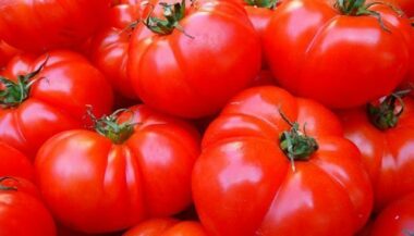 Envolée des prix de la tomate : entre production, intermédiaires et facteurs climatiques