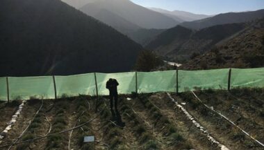 La Fondation Coca-Cola pour l’Afrique lance un programme d’optimisation de l’irrigation dans le Haut Atlas