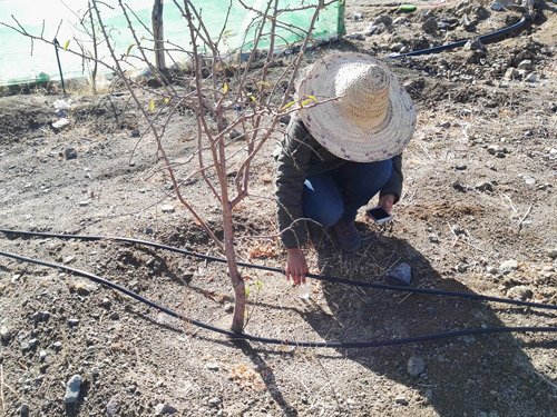 La Fondation Coca-Cola pour l’Afrique lance un programme d’optimisation de l’irrigation dans le Haut Atlas