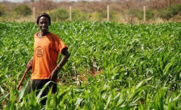 OCP Africa lance une école itinérante au profit des agriculteurs burkinabés