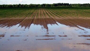 Vers une résorption totale du déficit pluviométrique au Maroc?
