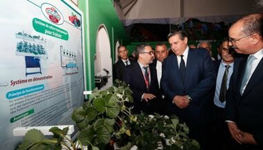 Les cultures de fruits rouges au Maroc: 200.000 T de production et 18.000 emplois