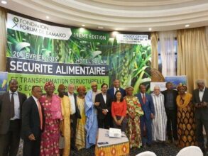 Les pays africains peinent à entamer leur transformation structurelle