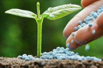 &ldquo;Argus Africa Fertilizer&rdquo; démarre à Marrakech