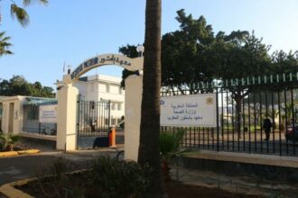 Vaccin contre H1N1: accusé de monopole, l'Institut Pasteur réagit