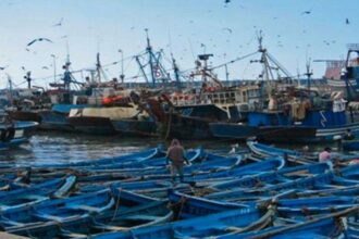 Le Maroc signe avec la FAO pour l'assistance technique de la pêche artisanale