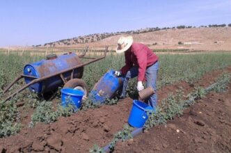 Plus de 1,7 million de Marocains travaillent sans rémunération