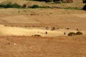 Expropriation pour utilité publique: Un guide pour simplifer la procédure