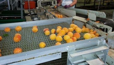 CDG: voici les nouveaux secteurs et les nouveaux modes d'intervention