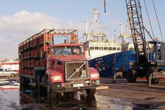 Transport de marchandises: les poids légers ne lâchent rien