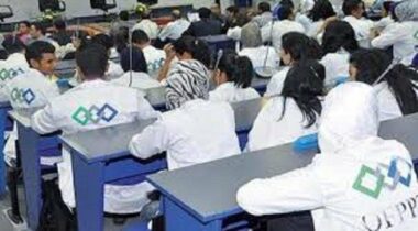 Formation professionnelle : Les nouvelles filières, région par région