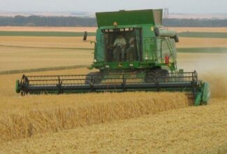 Agriculture: une saison mitigée pour les céréales, meilleure pour le reste