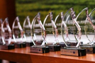 MFED Maroc: La Berd récompense les meilleurs projets d’efficacité énergétique