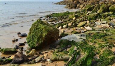 Forte hausse des débarquements de pêche côtière et artisanale au 1er trimestre