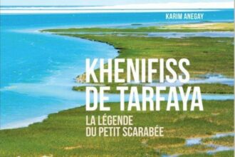 Parution.&ldquo;Khenifiss de Tarfaya, la légende du petit scarabée&rdquo;