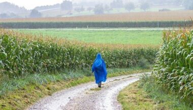 Croissance inférieure aux prévisions: 2,8% en 2018