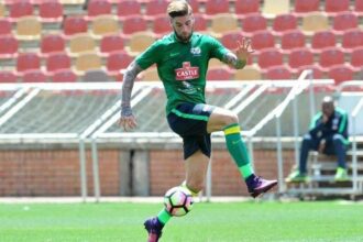 CAN 2019. Afrique du sud: Lars Veldwijk proche d'un retour en sélection