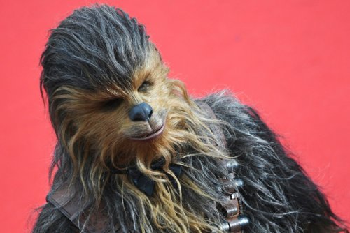 L'acteur Peter Mayhew, le Chewbacca de &ldquo;Star wars&rdquo;, est mort
