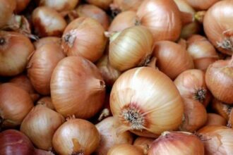 Hausse du prix de l'oignon: les explications du ministère de l'Agriculture