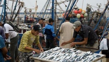 Poisson. Les prix restent relativement élevés à Casablanca
