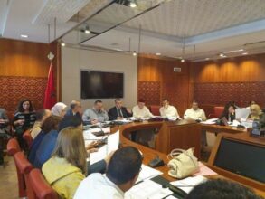 Le projet de loi officialisant l'amazigh adopté en commission parlementaire