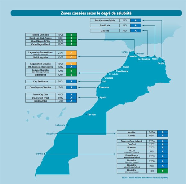 Une nouvelle application pour vérifier la qualité de l'eau des plages