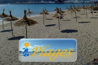 Une nouvelle application pour vérifier la qualité de l'eau des plages