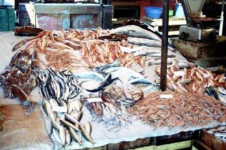 Poisson: l'impact de la saisonnalité se fait sentir sur l'offre