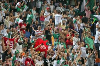 CAN 2019: 282 interpellations en France après la victoire de l'Algérie
