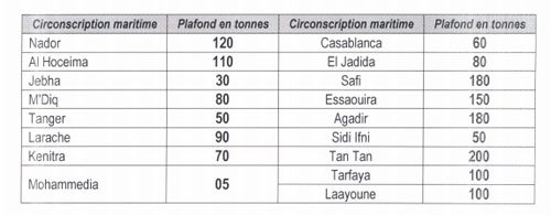 Pêche au poulpe: quotas en baisse, captures en hausse