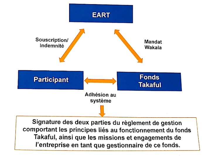 Assurance participative : voici le mode d'emploi du Takaful