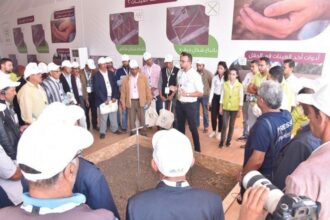 Le dispositif &ldquo;Al Moutmir&rdquo; d'OCP fait escale à Khemiss Zmamra