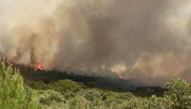 Le massif forestier de Boujediane (Larache) en proie aux flammes