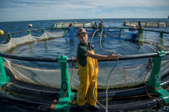 L'aquaculture, seul horizon des petits pêcheurs marocains en Mediterranée (AFP)