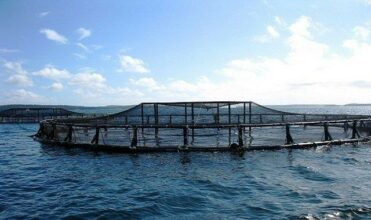 Dakhla : Un coup de fouet pour l’aquaculture