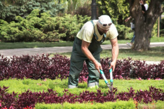 La CNSS lance une campagne au profit des travailleurs à domicile