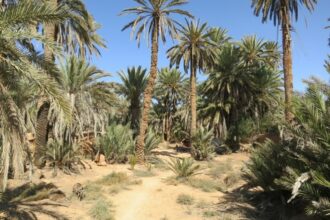 Contrat de la nappe Meski-Boudnib : lancement de la phase d'installation des compteurs