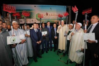 A El Haouz, la rentable reconversion dans l'oléiculture pour les agriculteurs