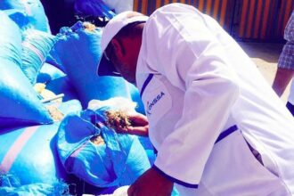 Onssa: plus de 17.000 tonnes de produits détruits ou refoulés en 2019