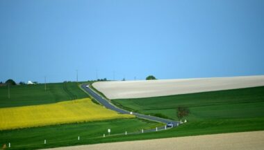 Secteur agricole: IFC accorde un prêt de 24 M$ à Zalar Agri