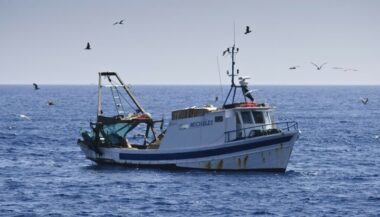 L'OMC lance les premières négociations de 2020 sur les subventions à la pêche