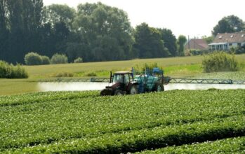 Pesticides agricoles: une nouvelle loi pour durcir le contrôle