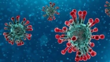 Coronavirus: l'OMS veut mobiliser 675 millions de dollars