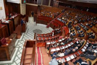Adoption finale de la loi organique sur le Conseil national des langues