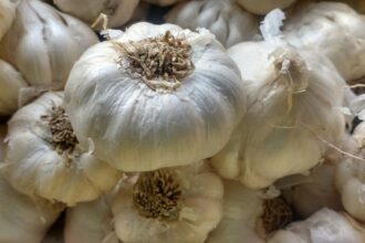 Au Maroc, le prix de l'ail flambe à cause du coronavirus