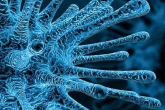 Le ministère de la Santé organise des émissions interactives sur le coronavirus