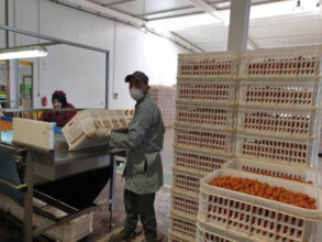 Covid 19 : Le ministère de l'agriculture rend hommage aux opérateurs du secteur