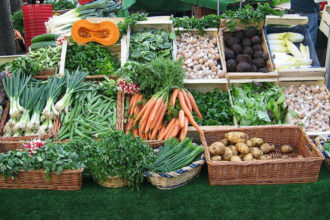 Verdict de la CJUE: voici la réaction des opérateurs marocains de l'agriculture et de la pêche