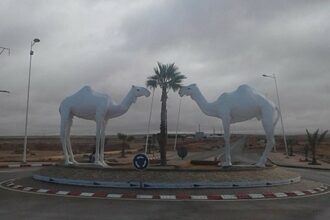 Tan-Tan: bientôt un institut supérieur des métiers de la mer et du désert