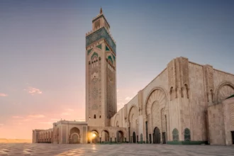 Éclosion dans le nichoir artificiel de faucons pèlerins de la mosquée Hassan II